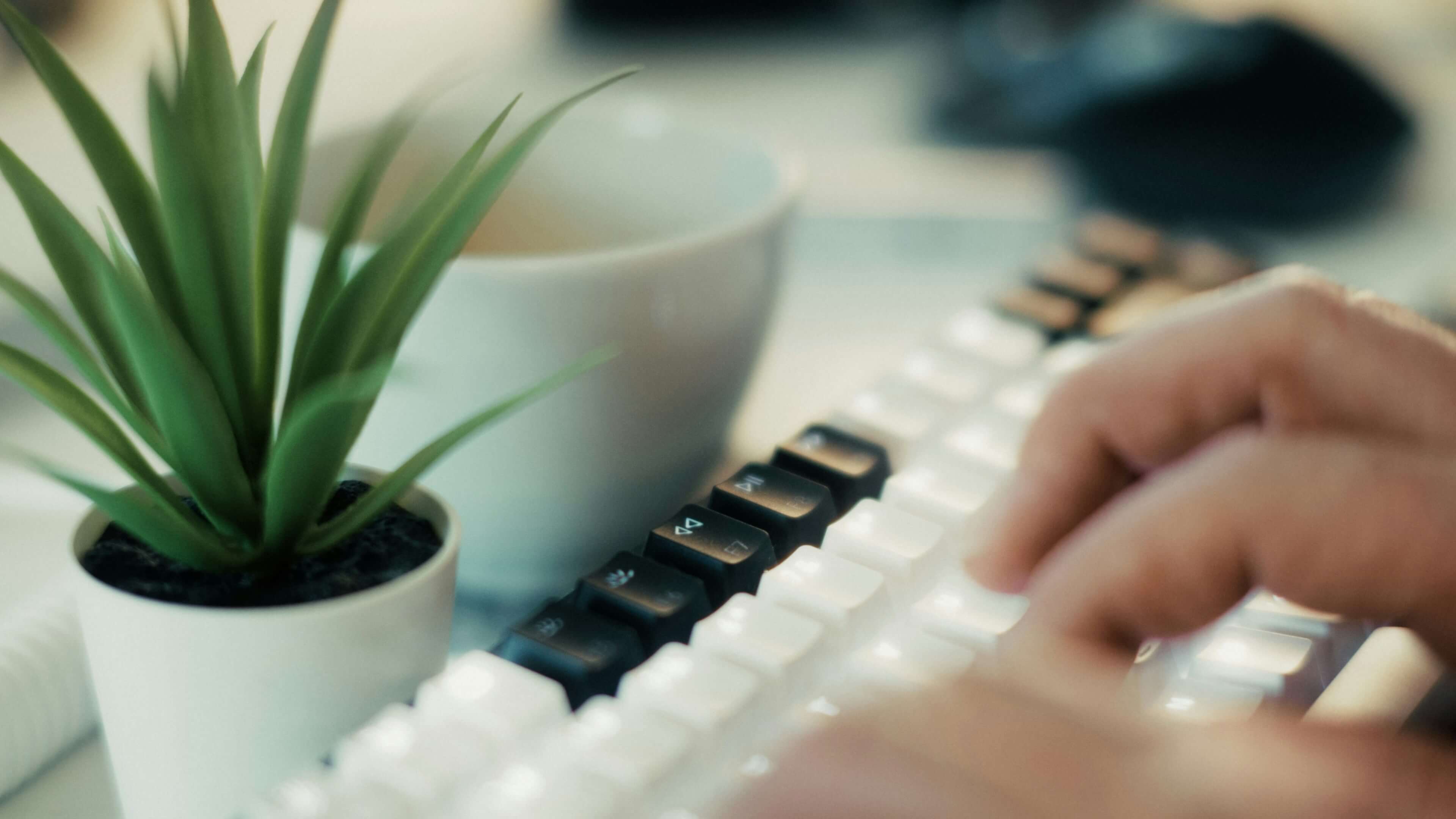 Sustainable Backend Systems